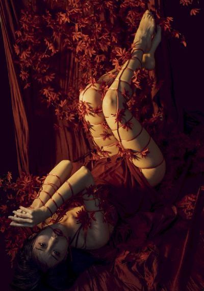 《风暴舞》免费观看_1080P高清迅雷在线观看