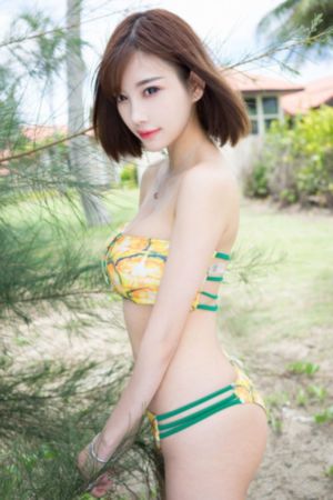 成全在线播放第6季_BD国语日韩免费观看